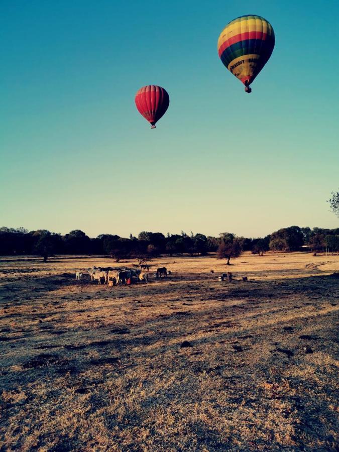 Kromdraai Guest Rooms Krugersdorp Esterno foto